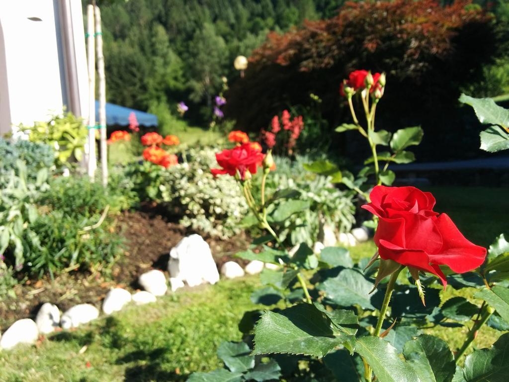 Villetta Val Di Sole Коммеццадура Экстерьер фото