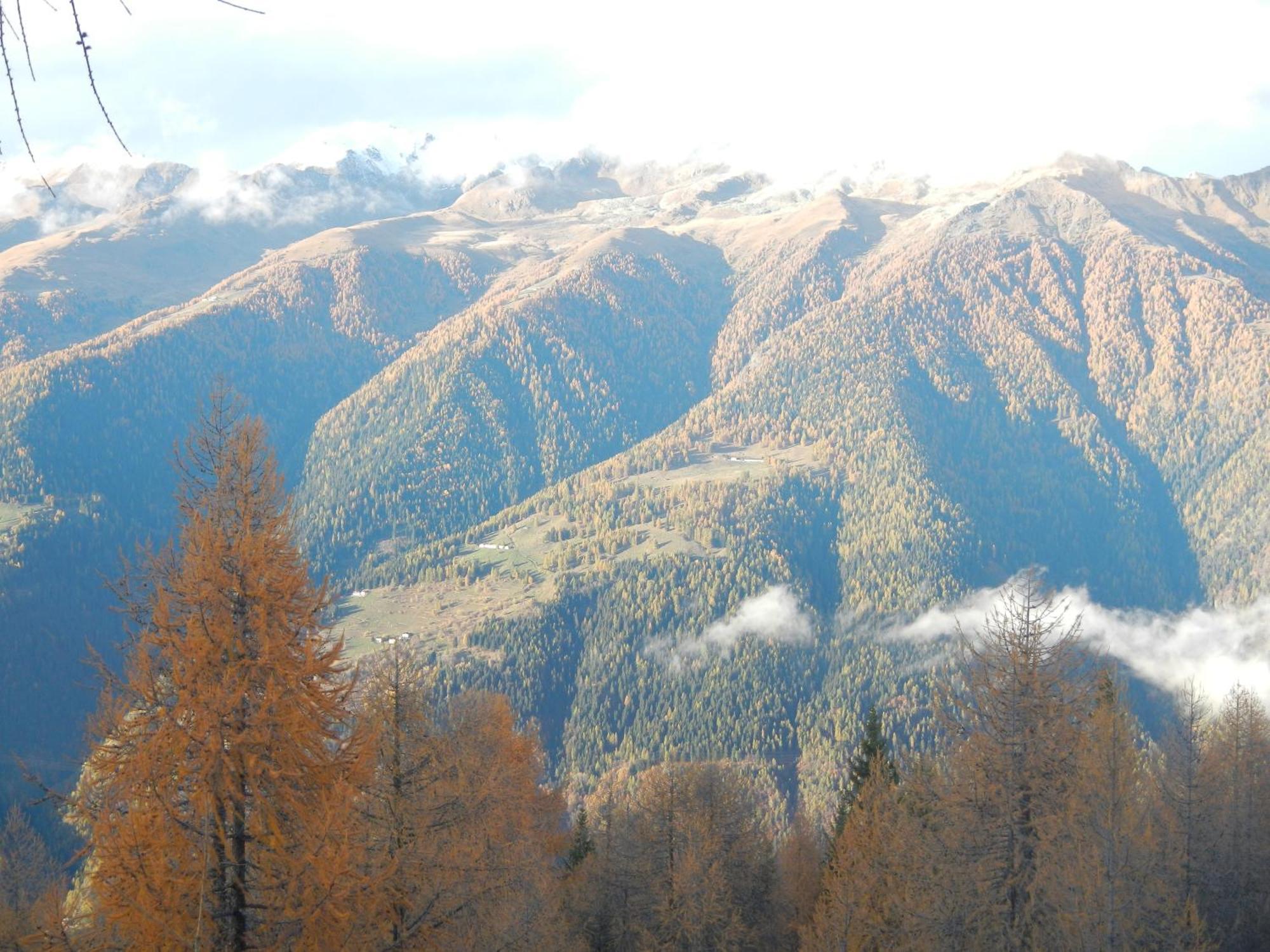 Villetta Val Di Sole Коммеццадура Экстерьер фото