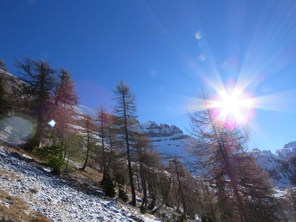 Villetta Val Di Sole Коммеццадура Экстерьер фото